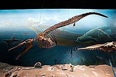 《幻兽帕鲁》与《泰拉瑞亚》大型联动更新！ 今夏上线